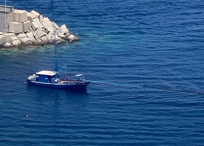 Гостевой дом Belvedere Шилла